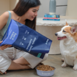 Barepets - The Ultimate Guide to the Best Dry Dog Food: What You Need to Know